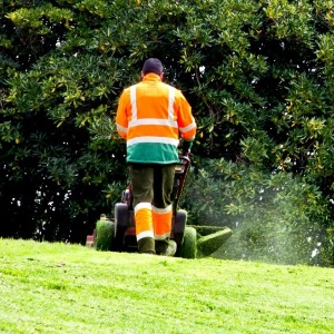 Commercial Lawn Mowing Services in Orlando, FL