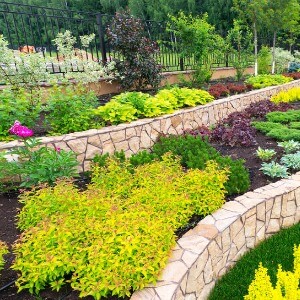 Bed Design For Landscapes in Sussex County, DE 