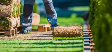 Professional Lawn Trimming in Caroline County, MD