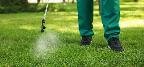 Mosquito and Lawn Pest Prevention Services in the Orlando, FL