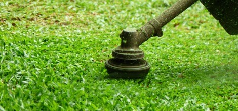 Professional Lawn Mowing Services in Queen Anne's County, MD