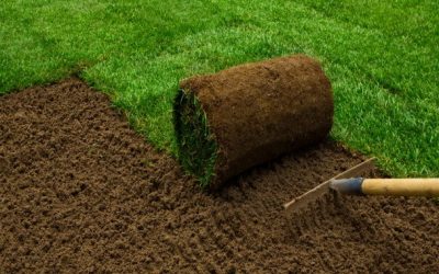 Best Sod Installation Tips For the Orlando Area